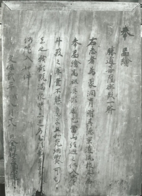 代表画像