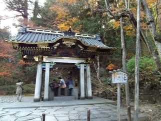 代表画像