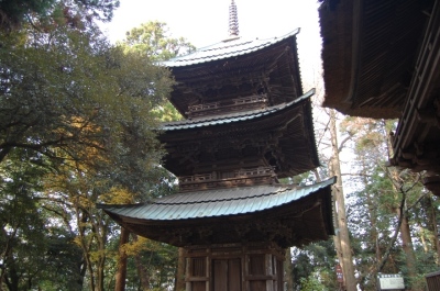 代表画像