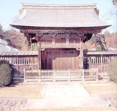代表画像