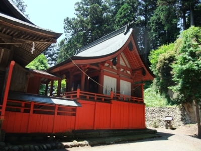 代表画像