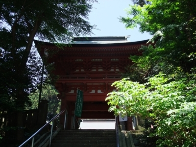 代表画像