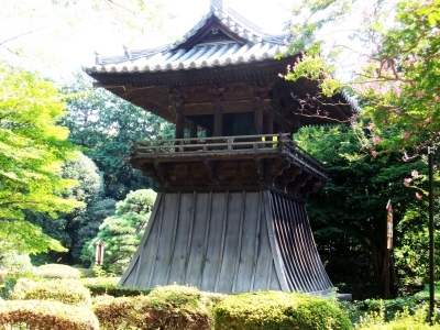 代表画像