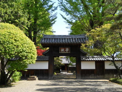 代表画像
