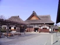 代表画像