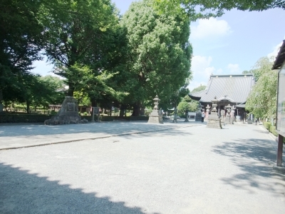 代表画像