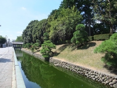 代表画像