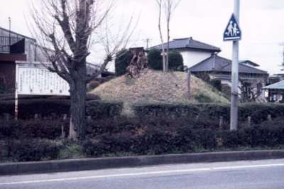 代表画像