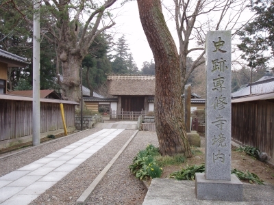 代表画像