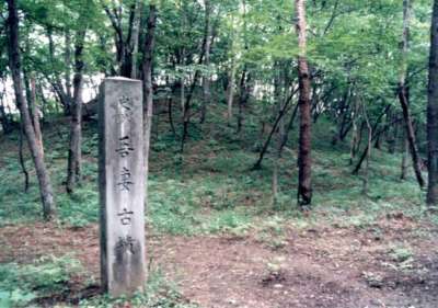 代表画像