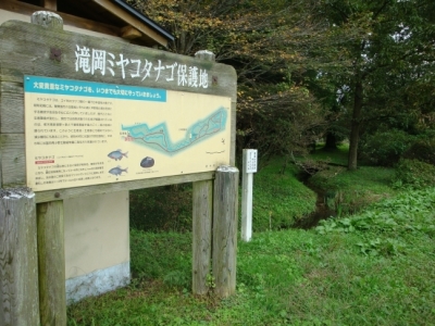 代表画像
