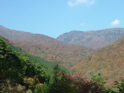 代表画像