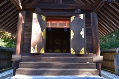 代表画像