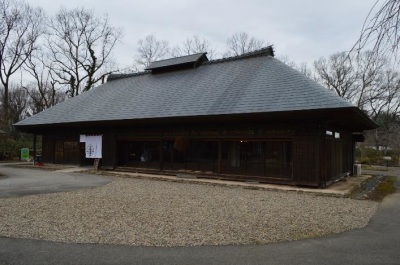 代表画像