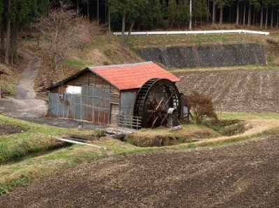代表画像