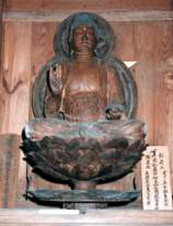 代表画像