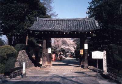 代表画像
