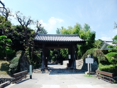 代表画像
