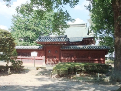 代表画像