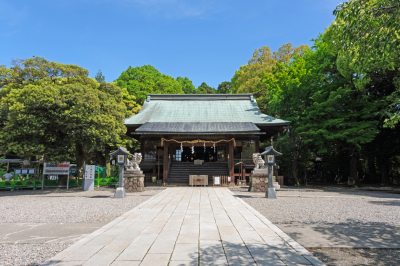 代表画像