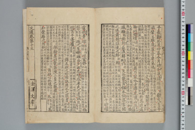代表画像