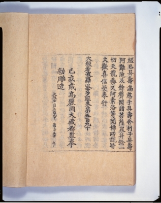 代表画像
