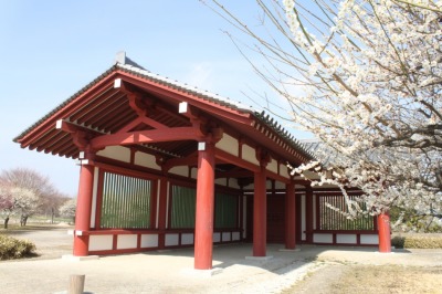 代表画像