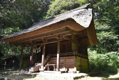 代表画像