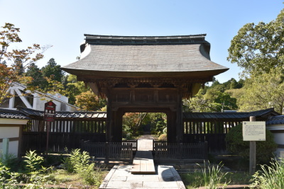 代表画像