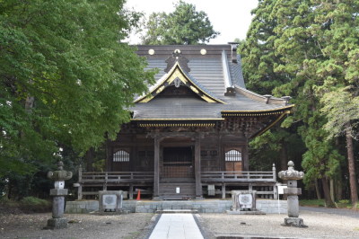 代表画像