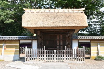 代表画像