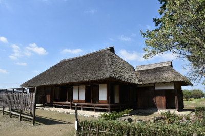 代表画像