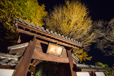 代表画像