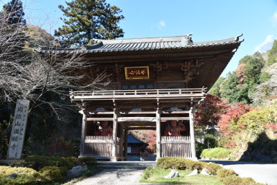 代表画像