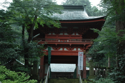 代表画像