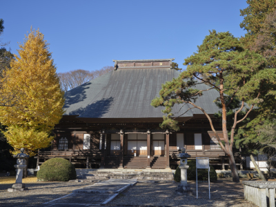 代表画像