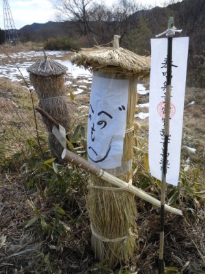 代表画像