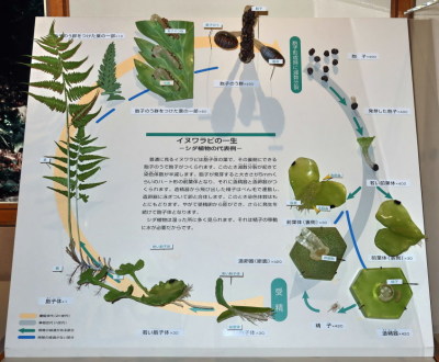 代表画像