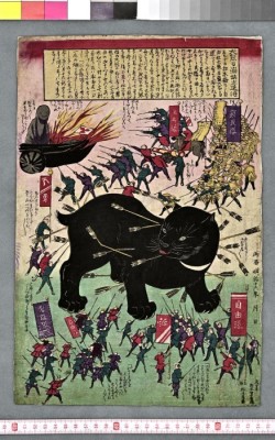 代表画像